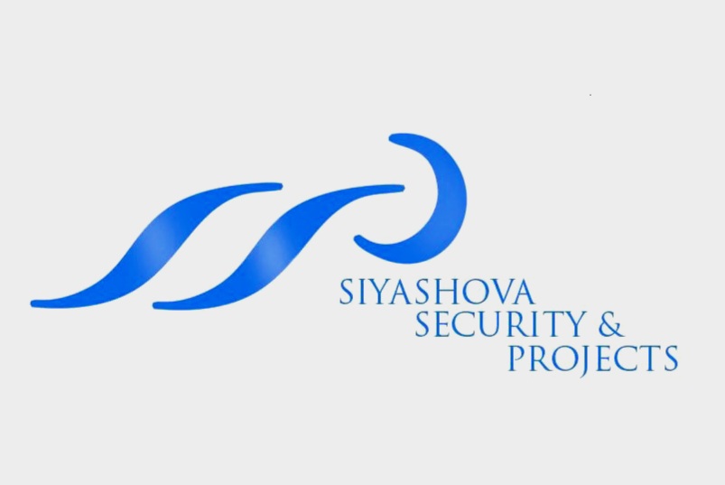 Team Sponsor Logo