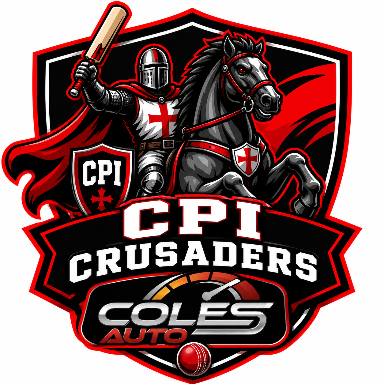 Team Logo Image