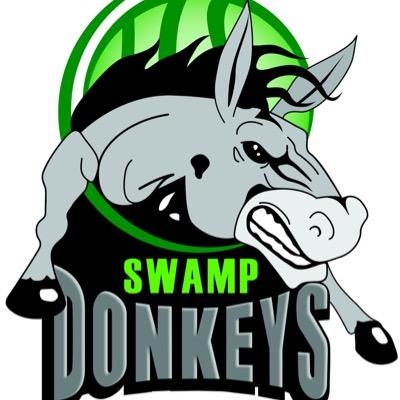 Team Logo Image