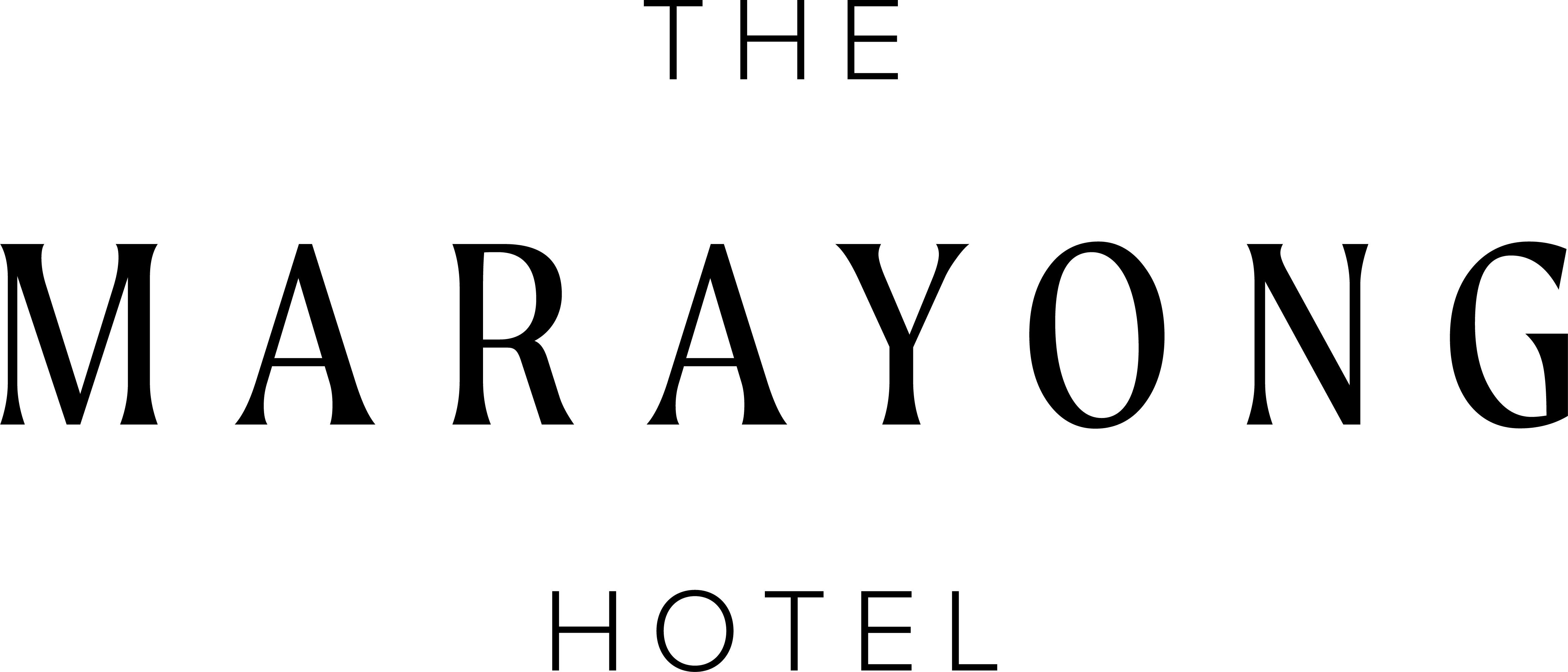 Team Sponsor Logo