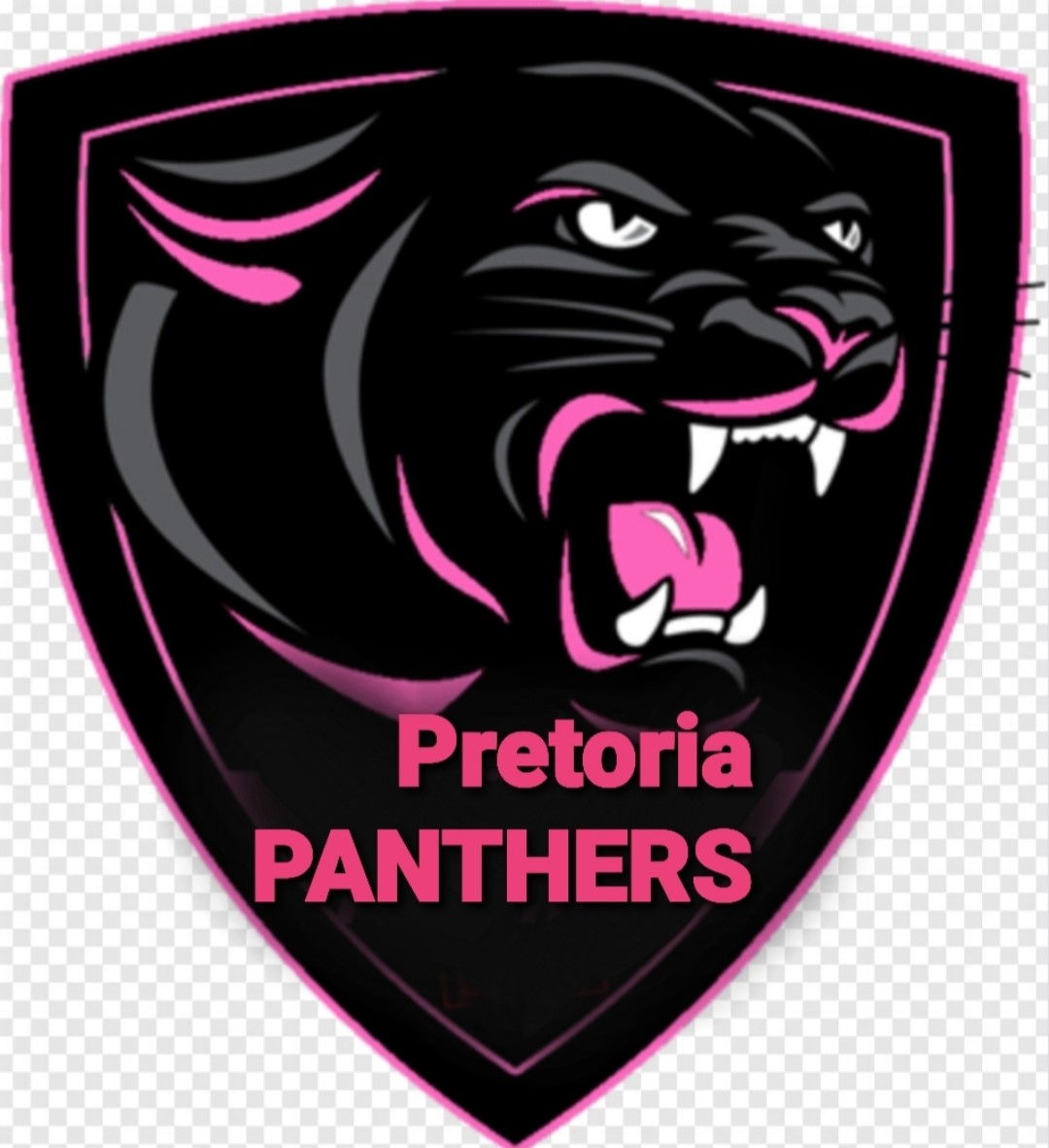 PANTHERS Team Profile - Play Cricket!