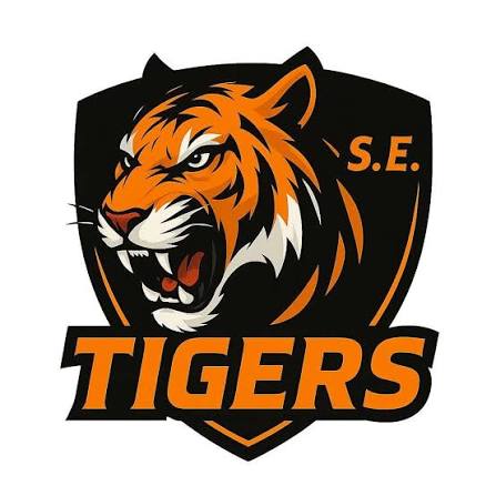 Team Logo Image