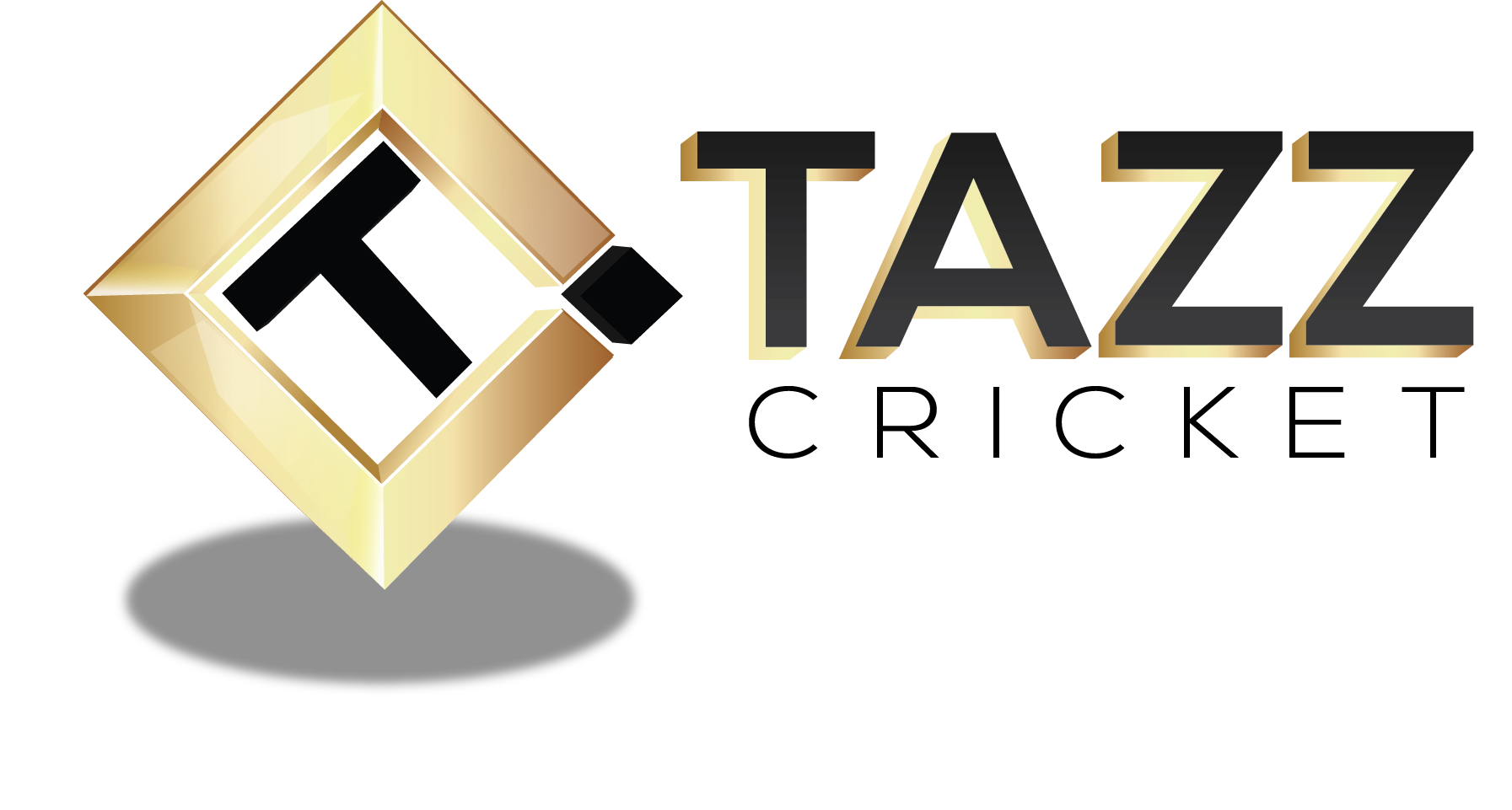 Team Logo Image