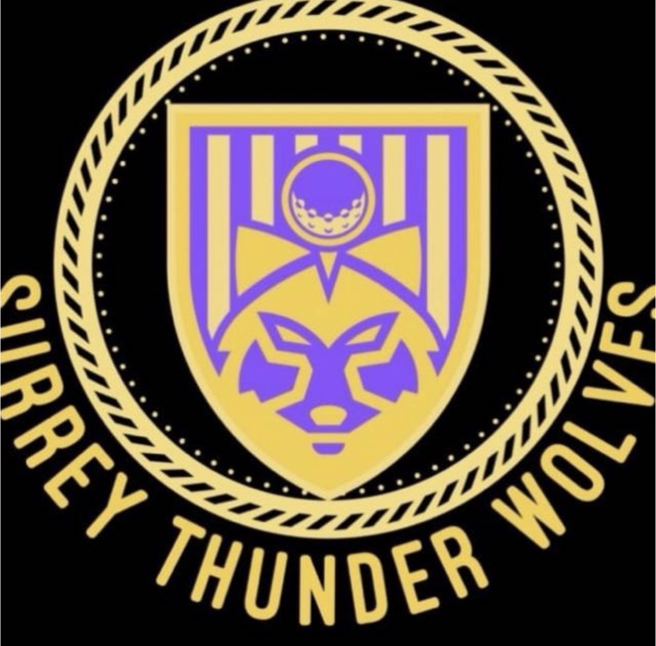 Team Logo Image