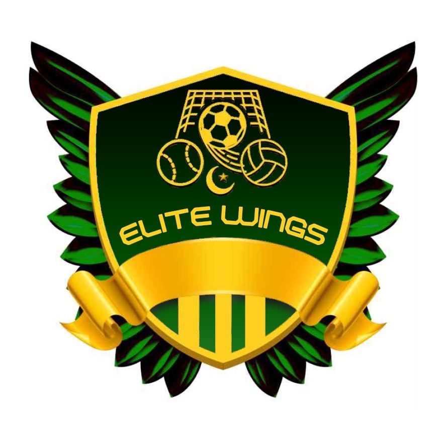 Lovely Boys vs Elite Wings League Information - Play Cricket!