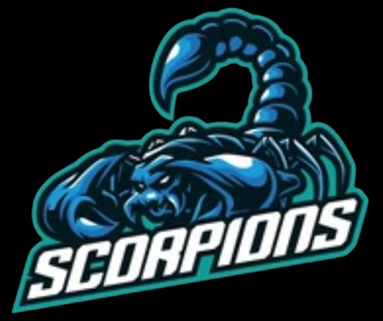 Team Logo Image