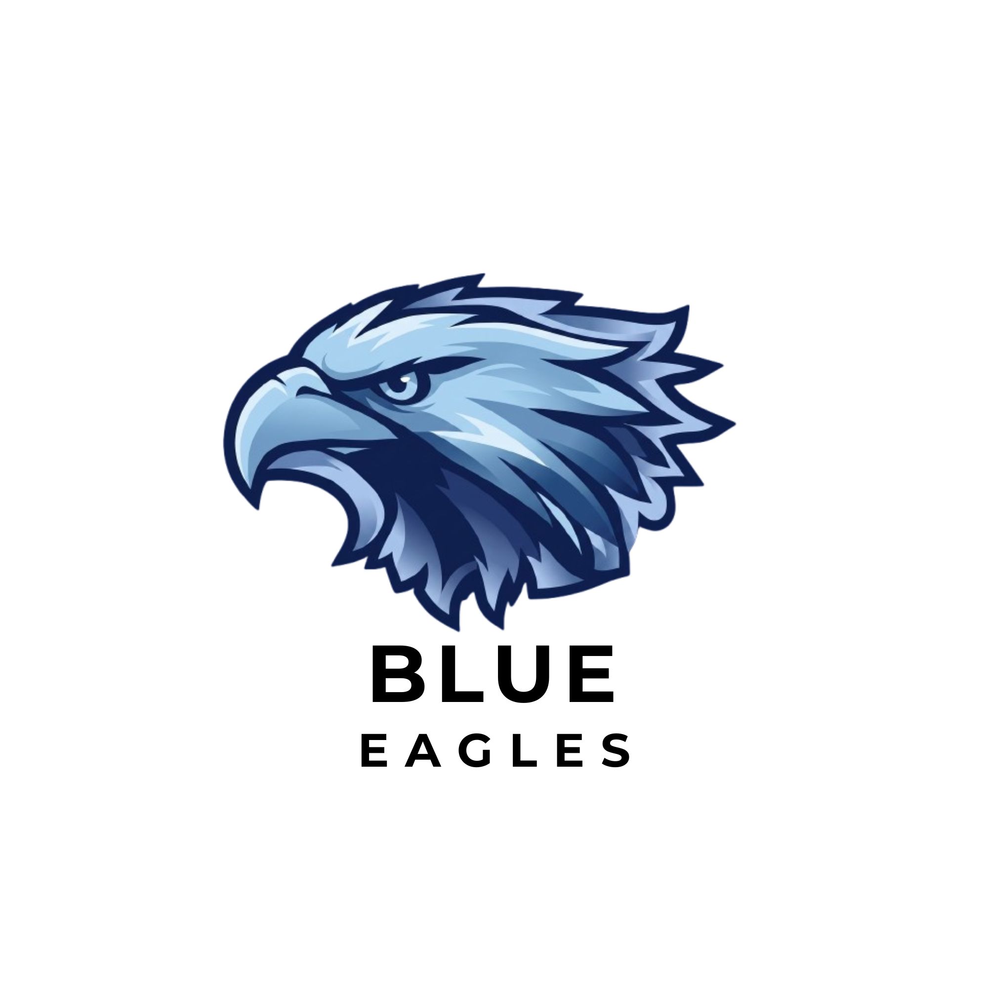 Team Logo Image