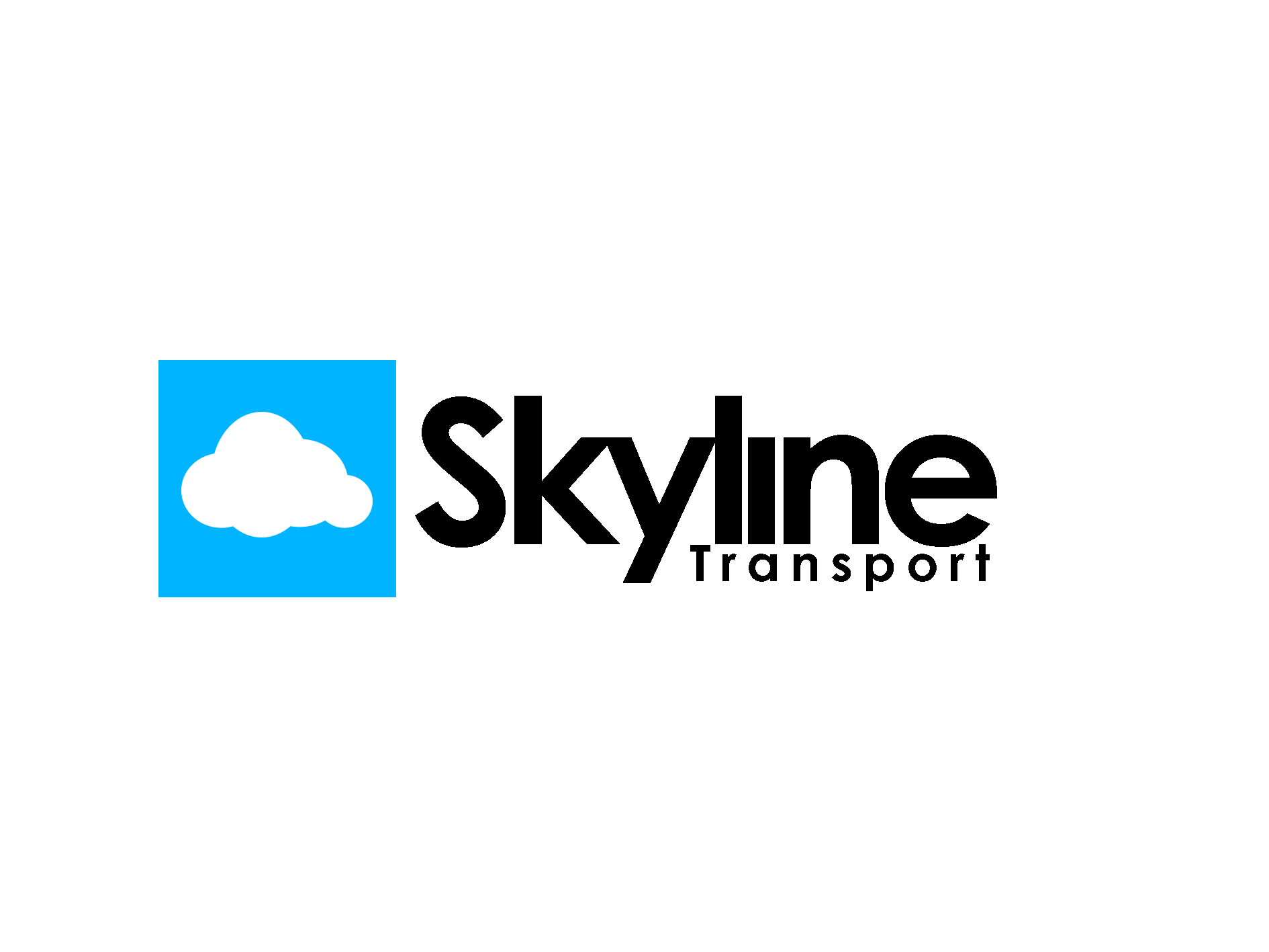 Team Sponsor Logo