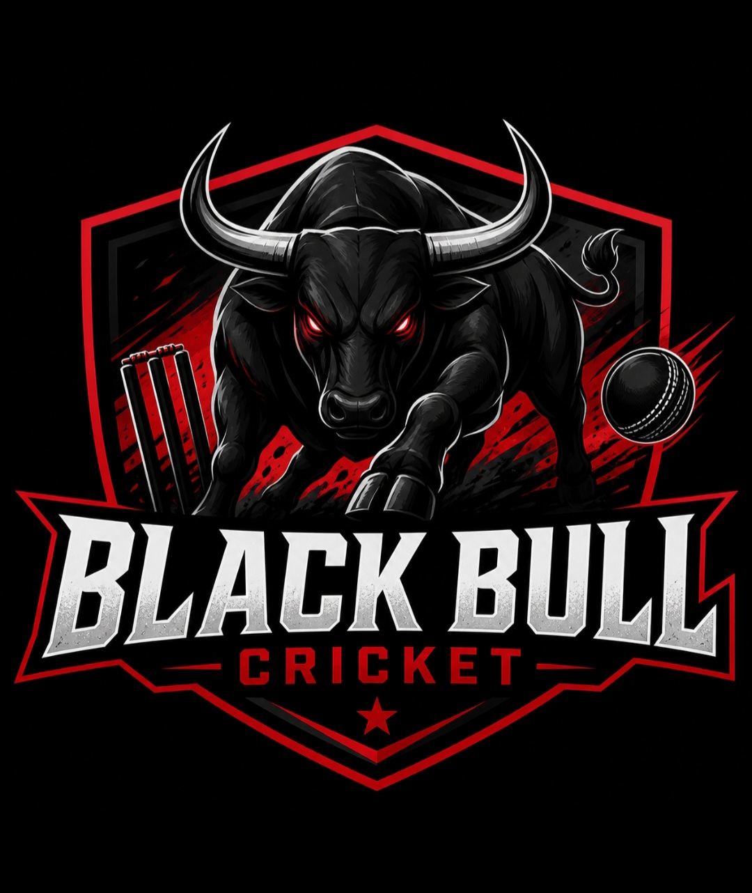 Team Logo Image