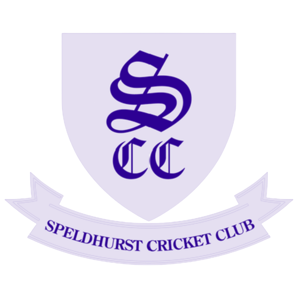 Team Logo Image