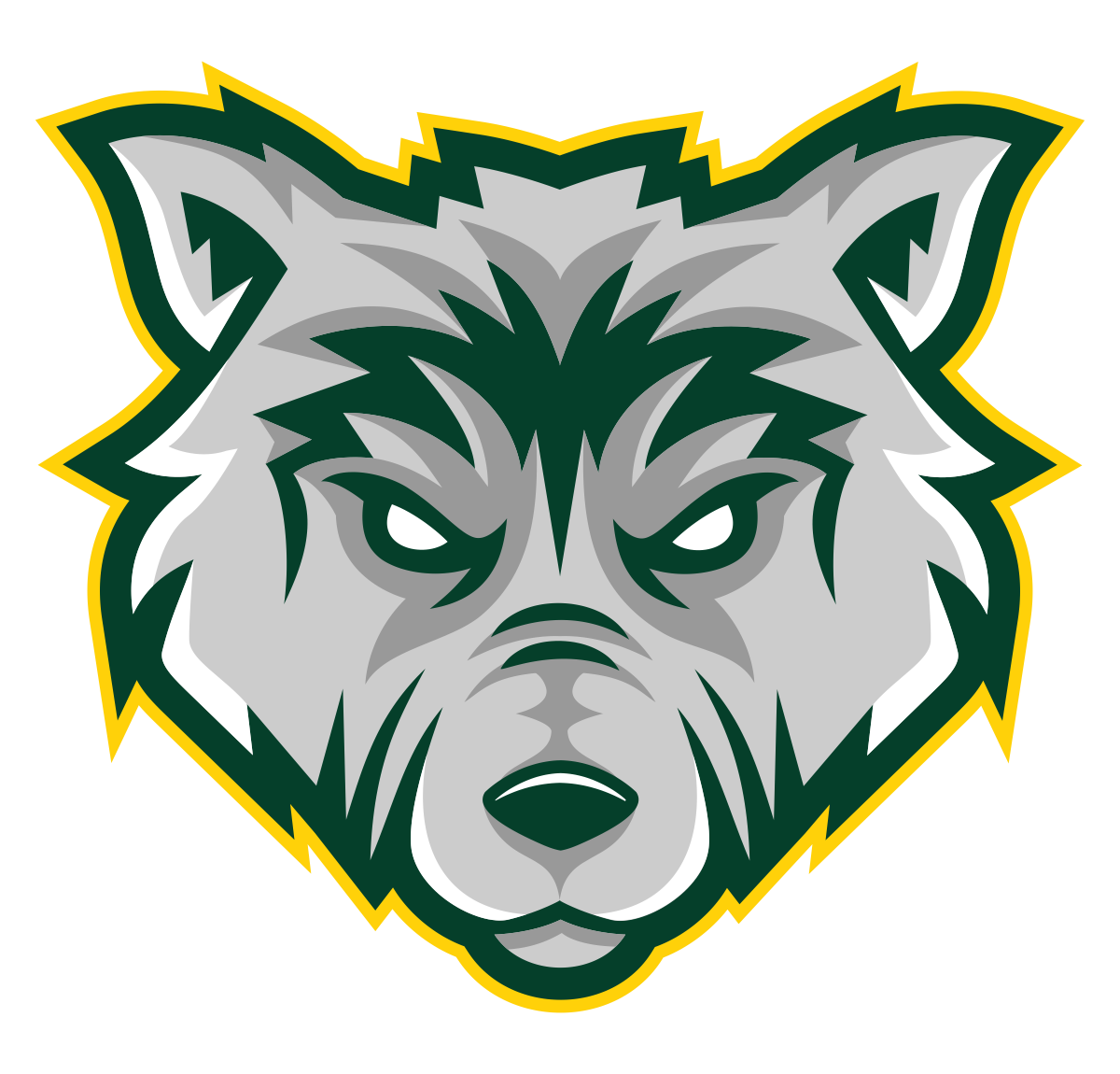 Team Logo Image