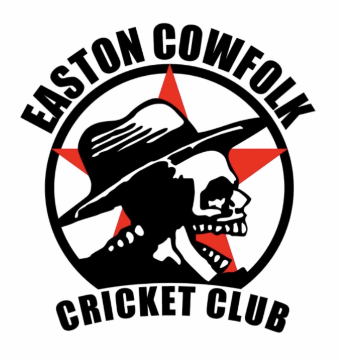 Team Logo Image