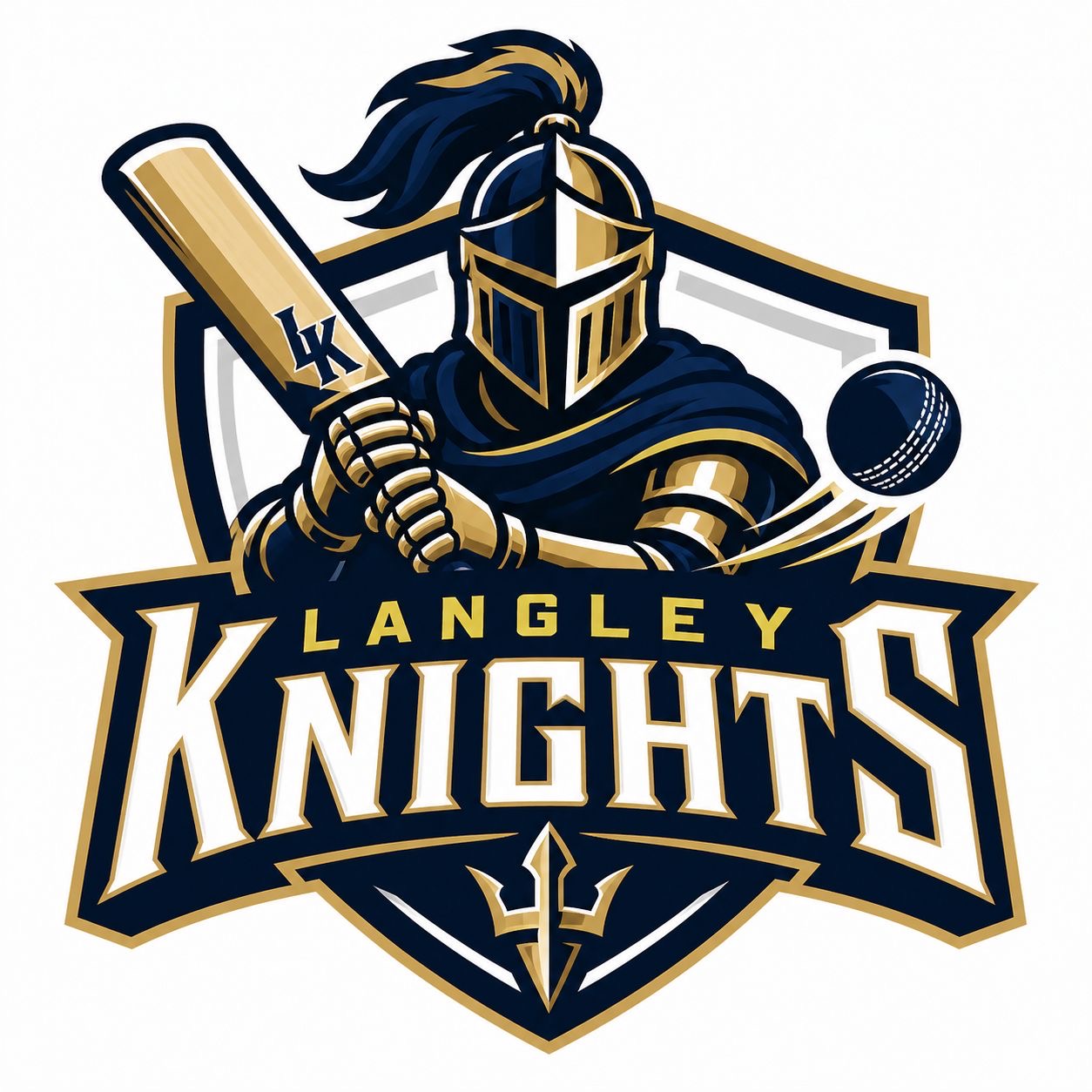 Team Logo Image