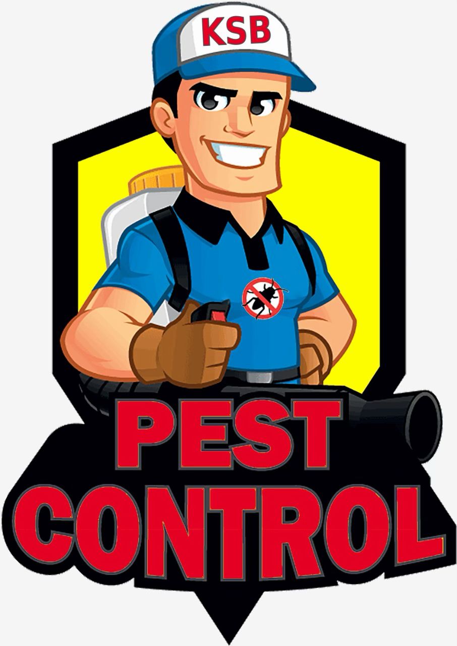 Team Sponsor Logo