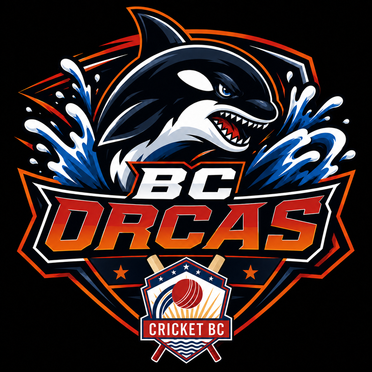 Team Logo Image