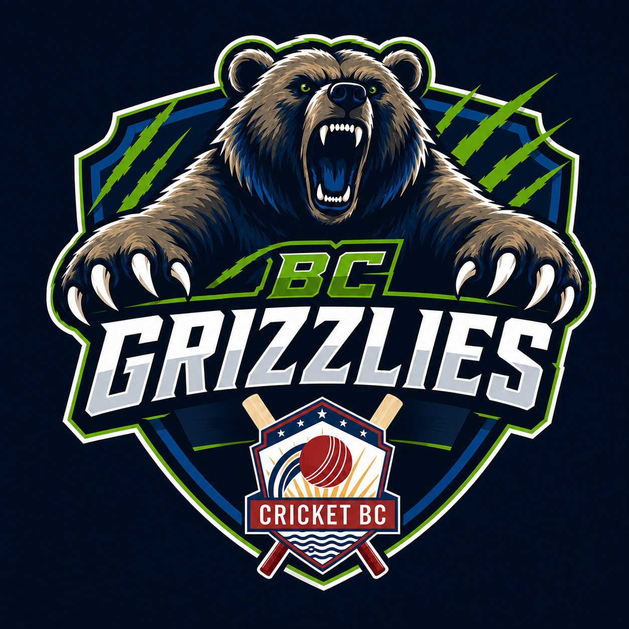Team Logo Image