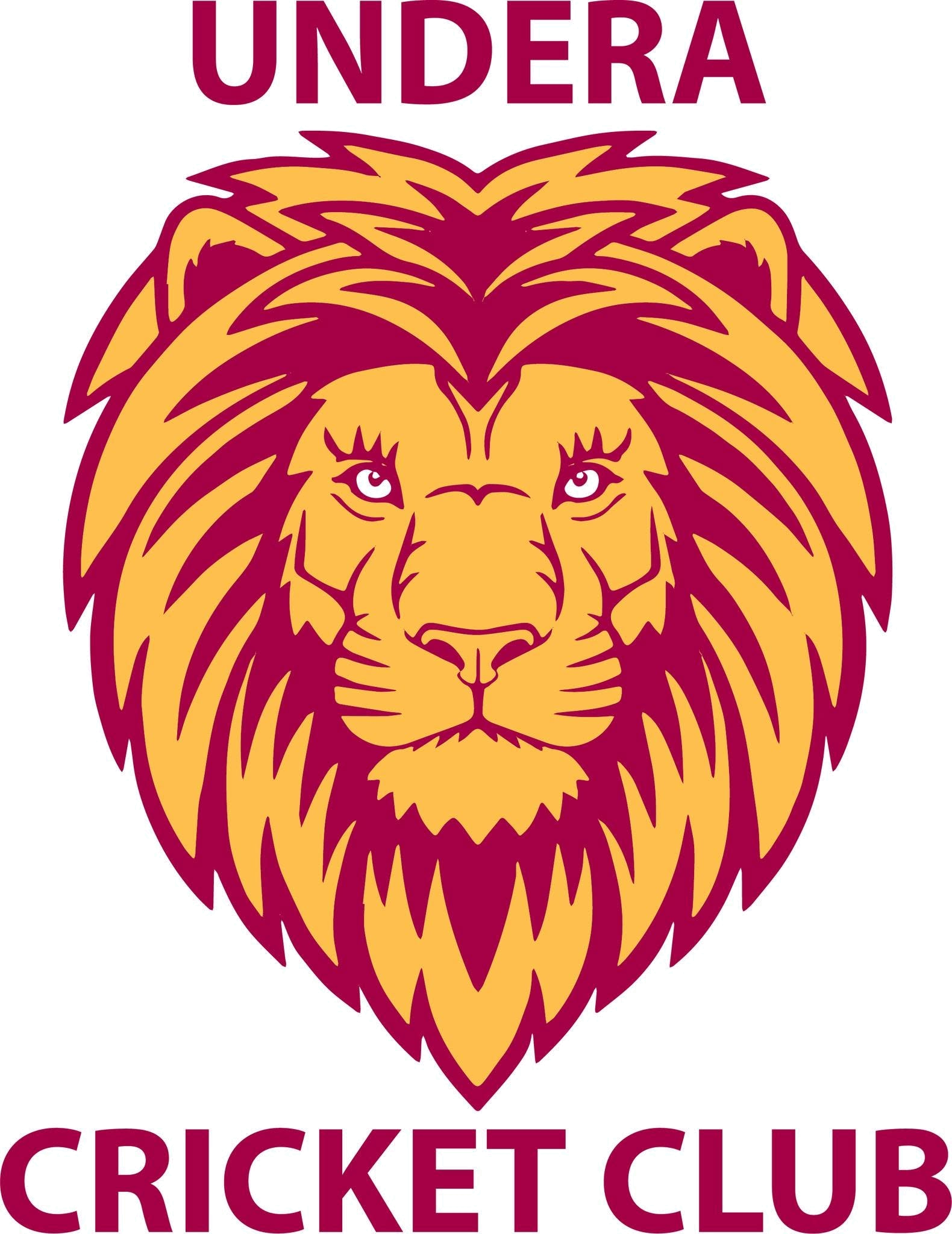Team Logo Image