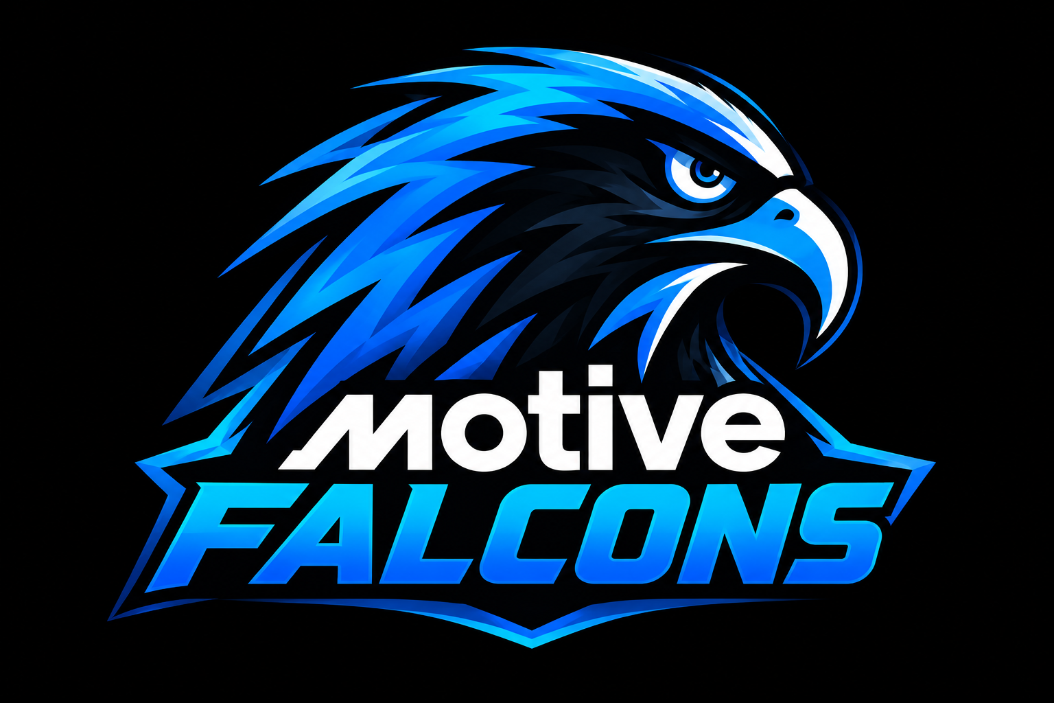 Team Logo Image