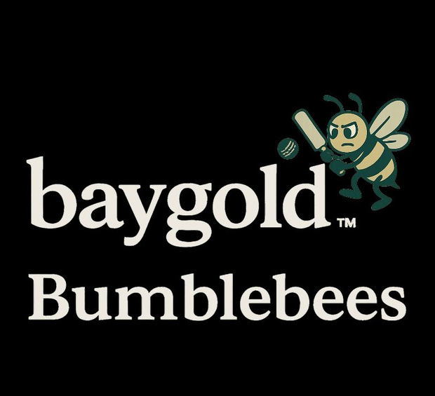 Team Logo Image