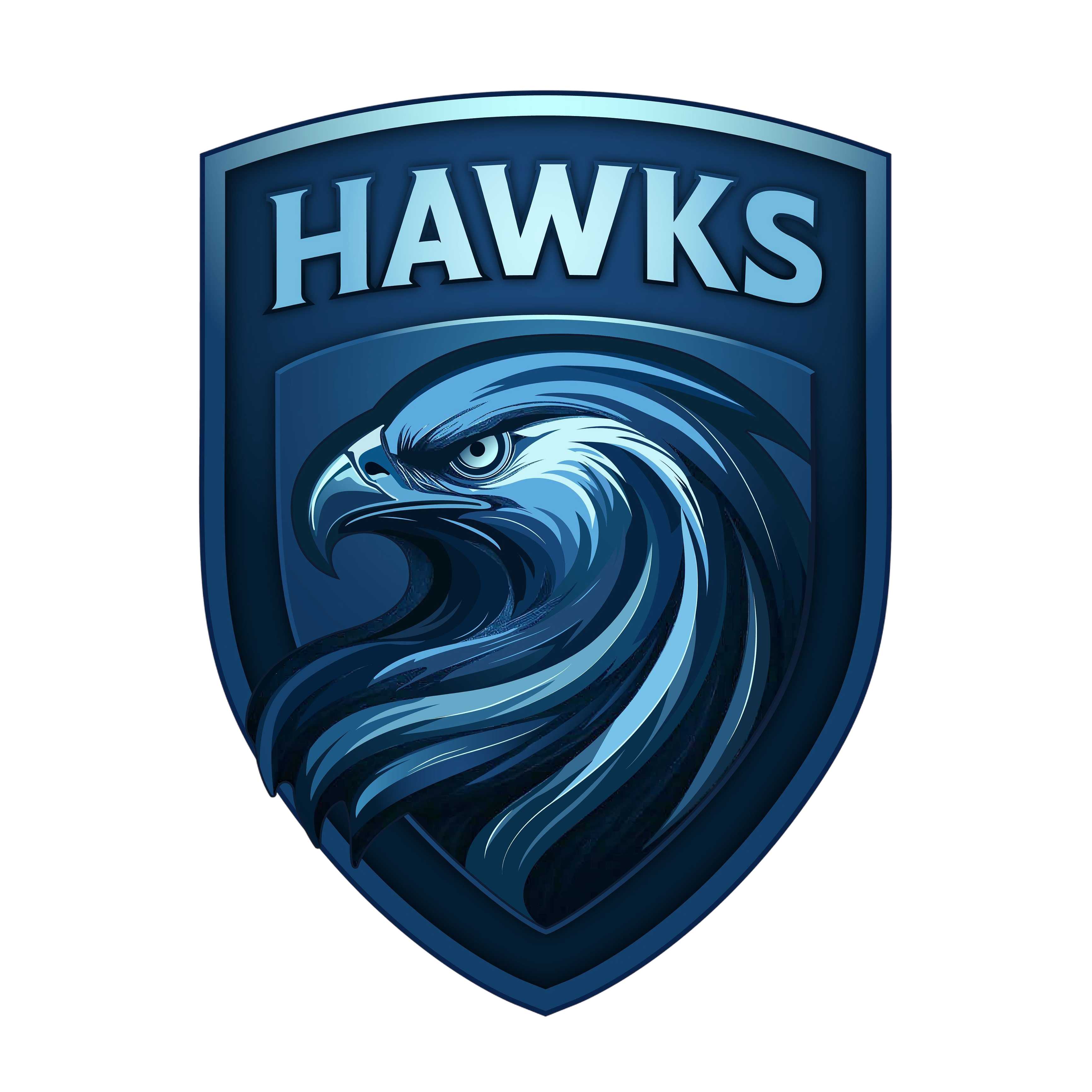 Team Logo Image