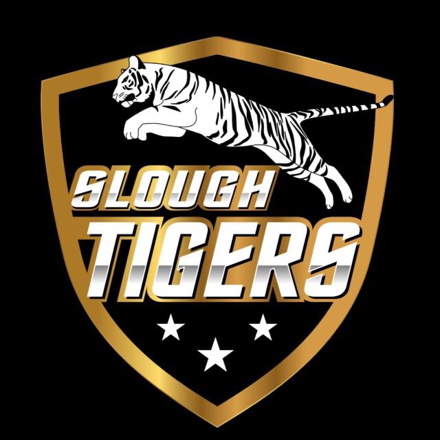 Team Sponsor Logo