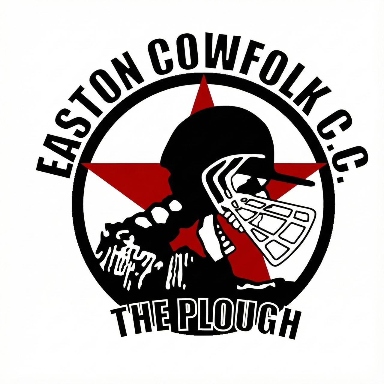 Team Logo Image