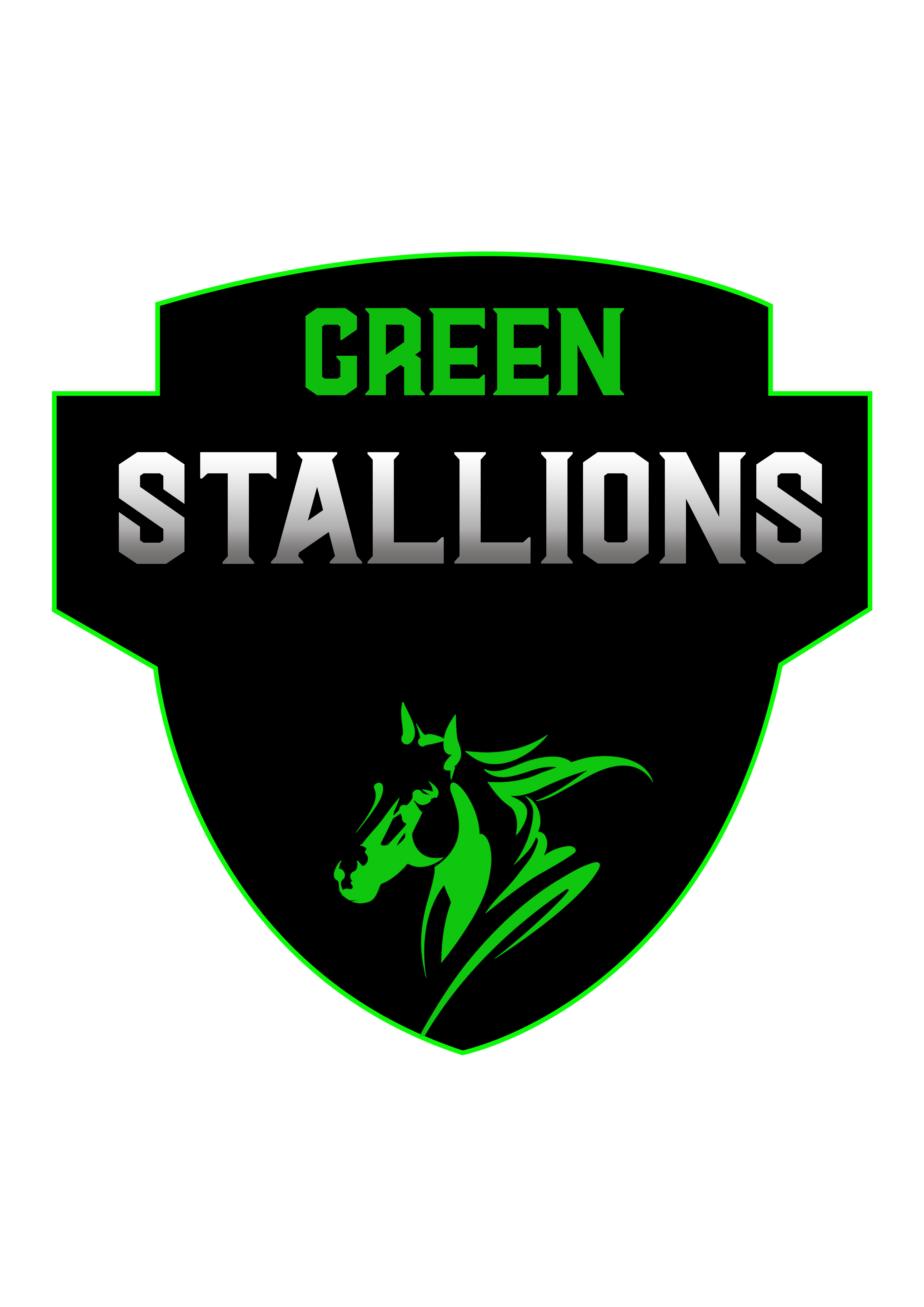 Team Logo Image
