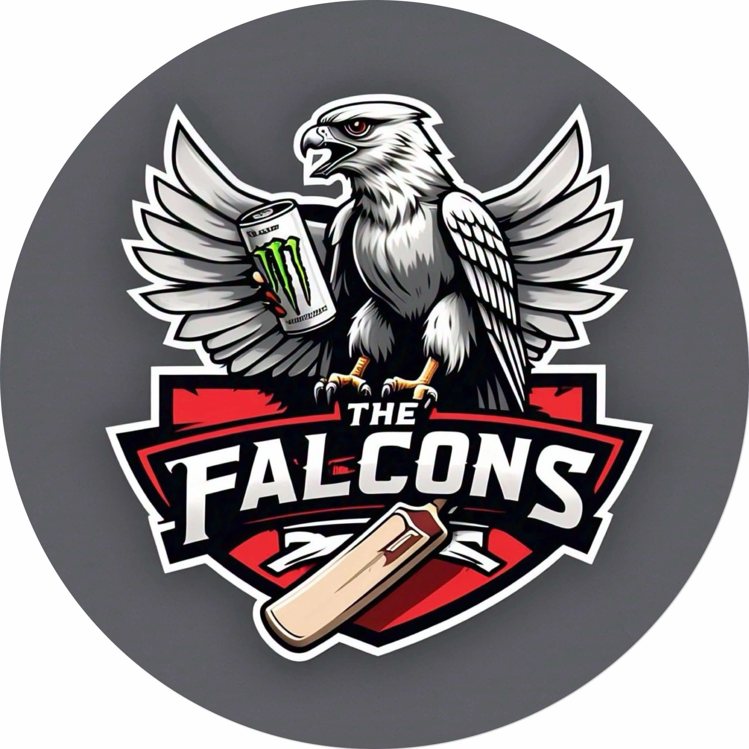 Team Logo Image