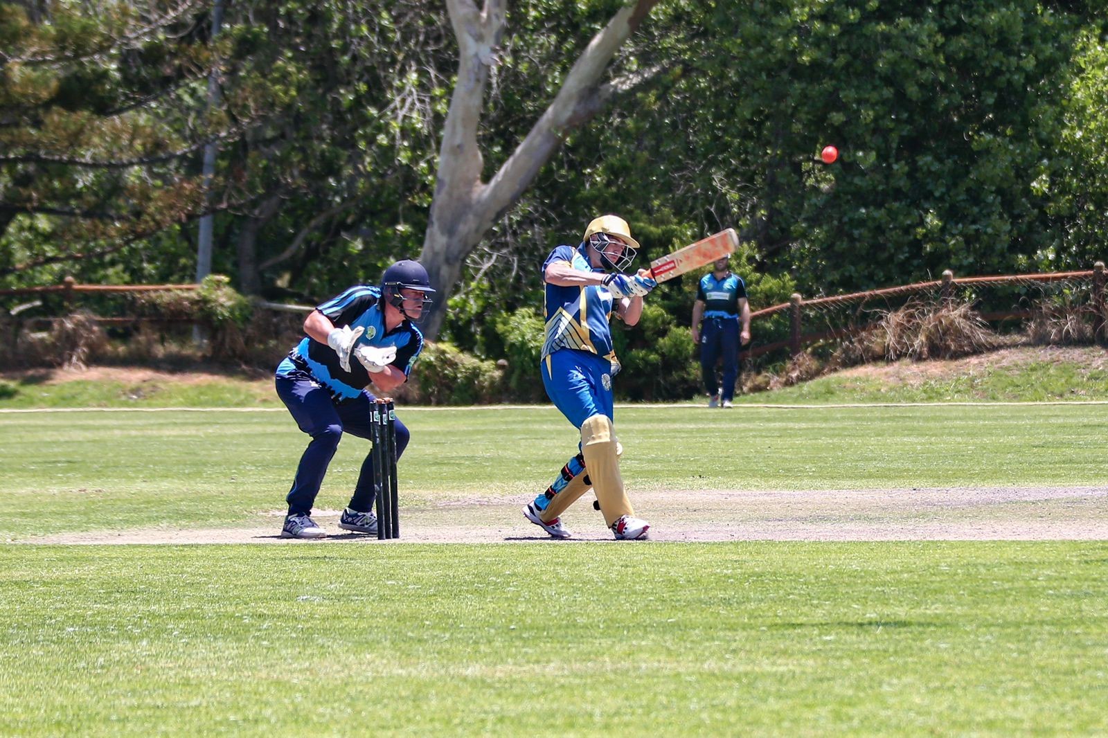 Dylan Groenewald  