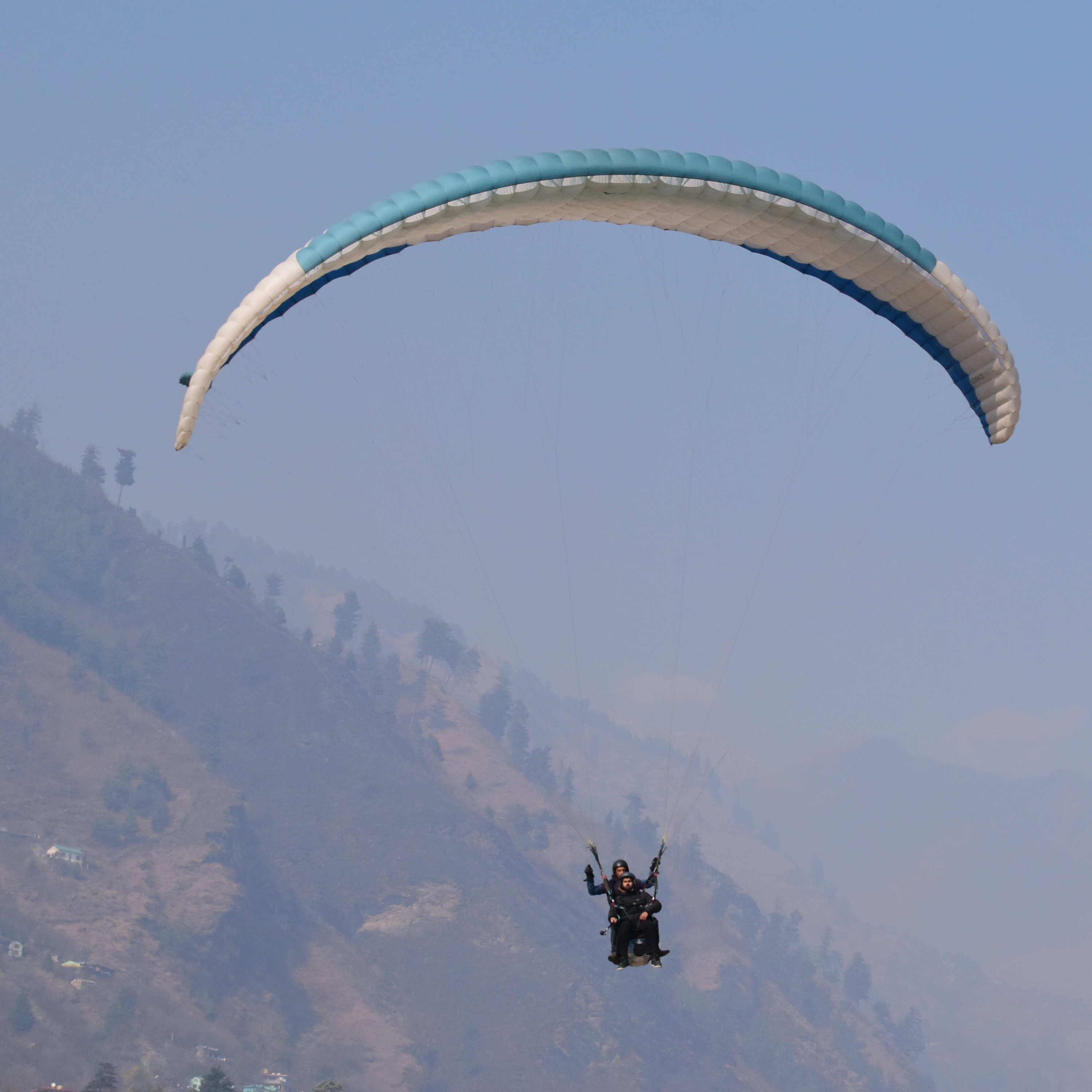 Player Image