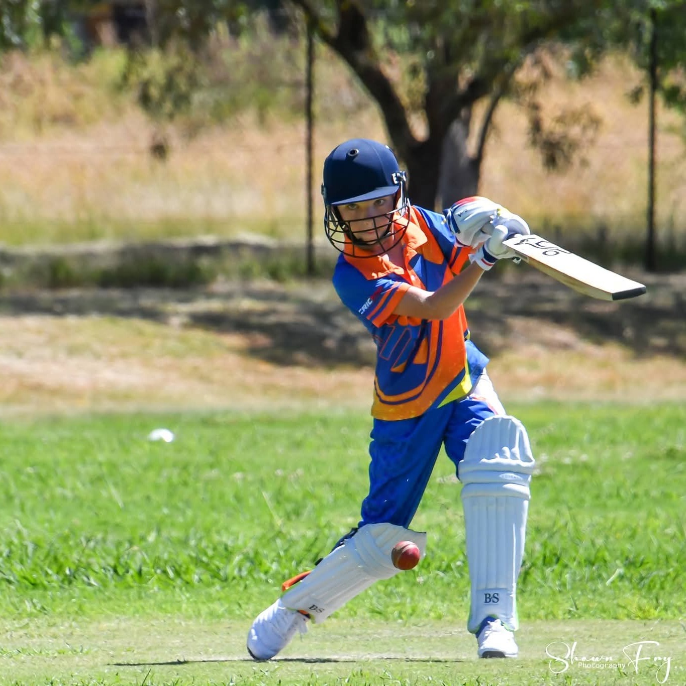 Player Image