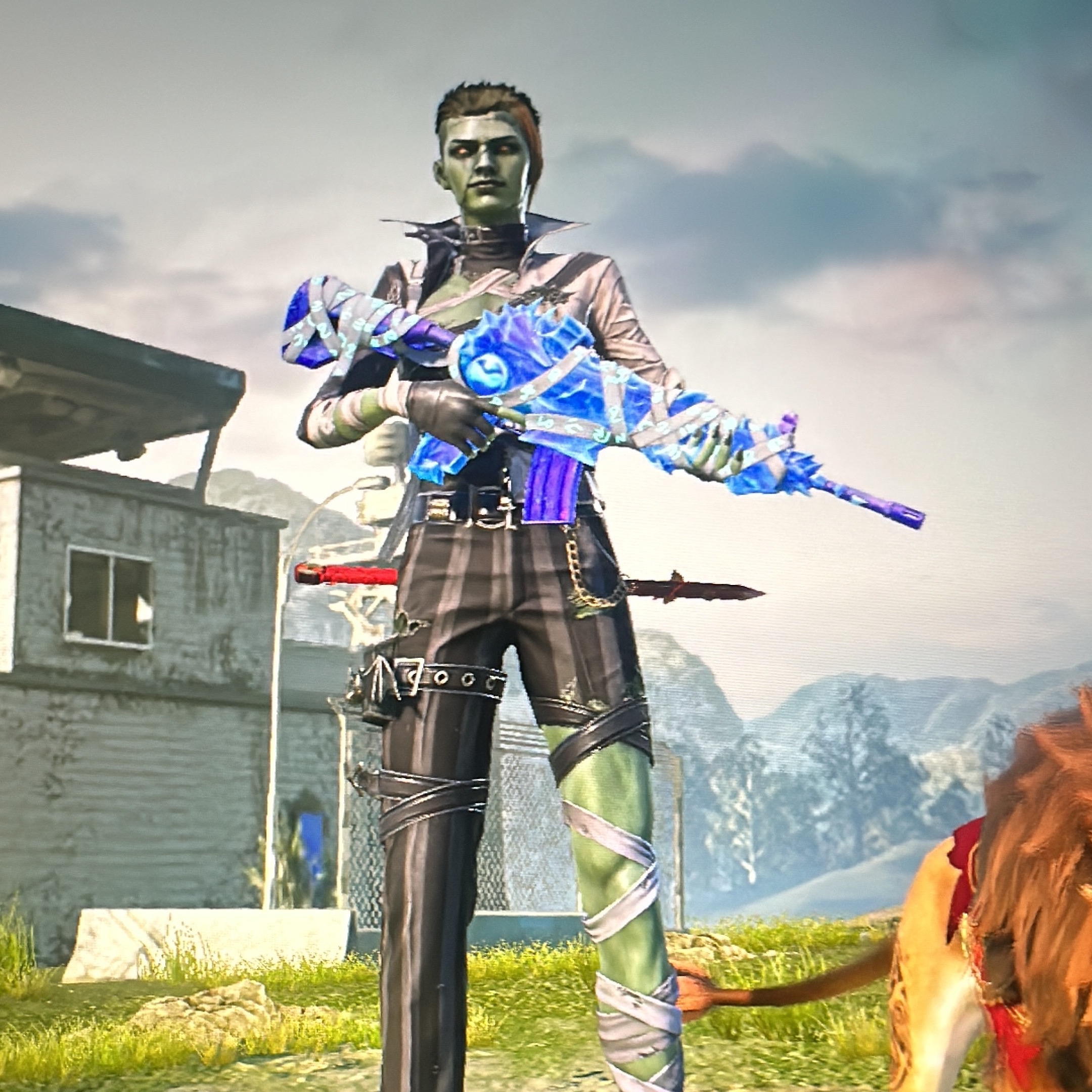 Player Image