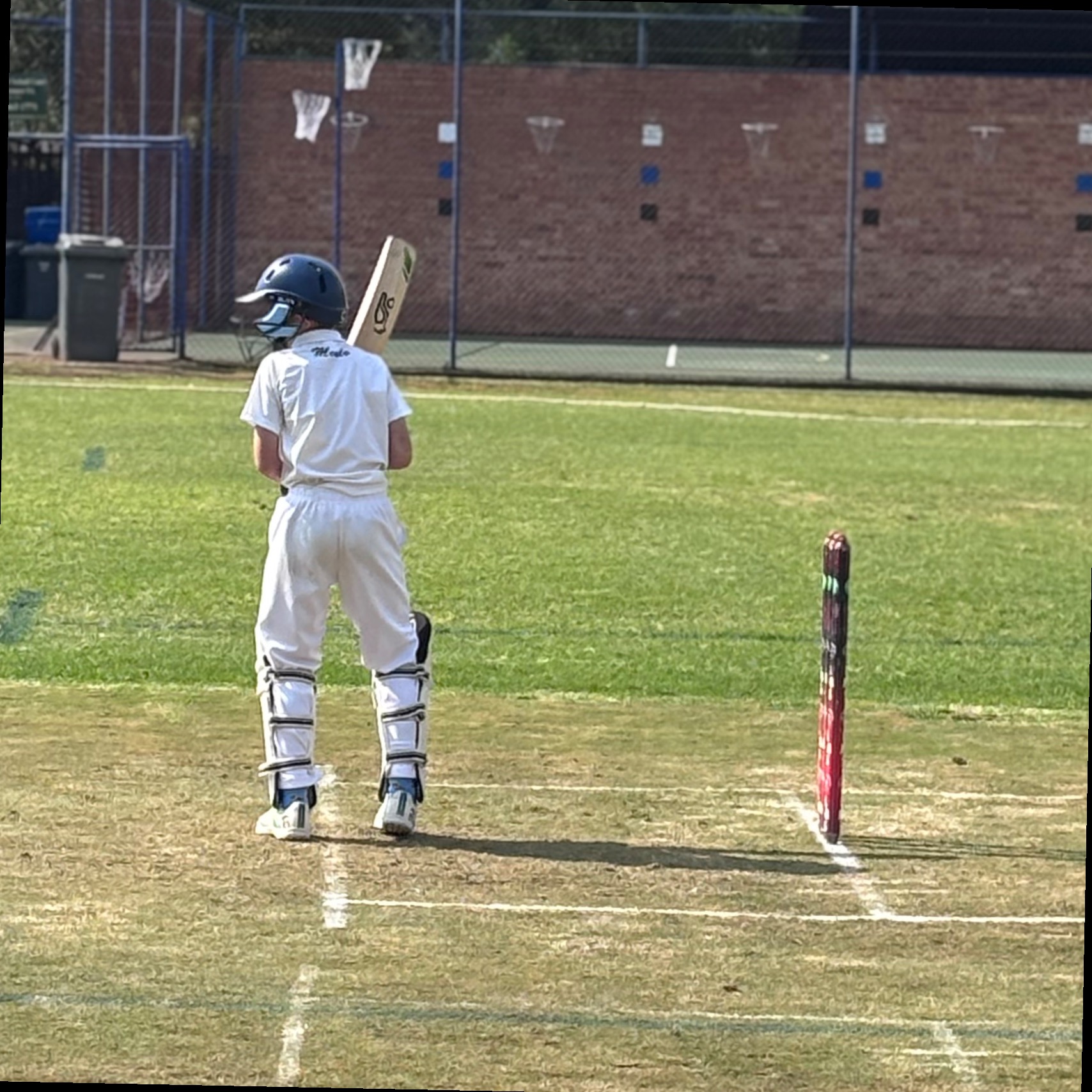 Player Image